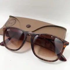 【美品】レイバン　べっ甲　ウェリントン　ロゴ　メタルテンプル　ケース付き