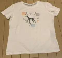 半袖　Tシャツのサムネイル