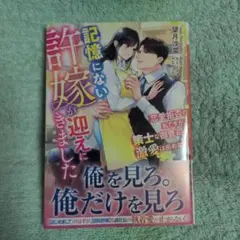 10月新刊 記憶にない許嫁が迎えにきました～恋愛拒否の私ですが、策士な御曹司の…