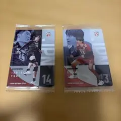 バレーボール 日本代表 石川祐希 小川智大 カード 2枚セット