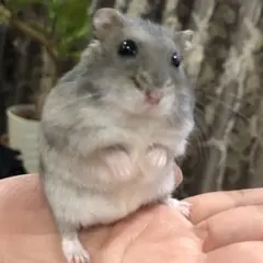 SONNTAG様ご確認用