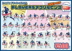 中日ドラゴンズ　祖父江大輔　アクリルピンズ