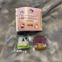 【栃木限定】サンリオ ご当地ピンズ 2点（シナモロール・ポムポムプリン）