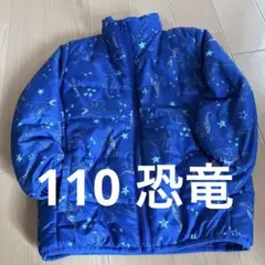 110 恐竜　アウター　フードなし