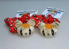 ジェ猫 GENERATIONS シュシュ 白濱亜嵐