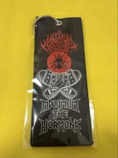 2025年最新】マキシマムザホルモン フライトタグの人気アイテム - メルカリ