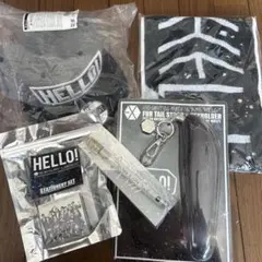 EXO GREETING PARTY in JAPAN HELLO グッズセット