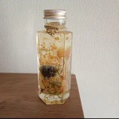 세일 ☆ 하바리움 퍼퓸 보틀 ❁ 미모사 ❁
