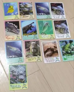 2026年最新】鳥羽水族館 70周年の人気アイテム - メルカリ