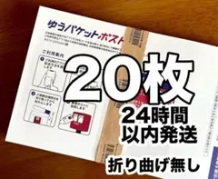 【20枚】折り曲げ無し ゆうパケットポストmini専用封筒 24時間以内発送