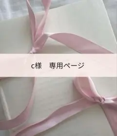 【c様専用】結婚式　プロフィールブック