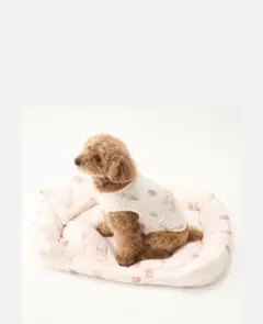 GELATO PIQUE ペットハウス クッション付き 犬、猫ペットハウス - メルカリ