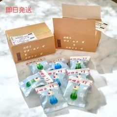 【即日発送】ミニチュアフード ミニチュア ドールハウス　ぬい活