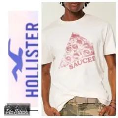◎割引あり◎S◎新品正規品◎ホリスター◎Tシャツ◎送料込