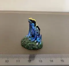 原色両生類カエル図鑑アイゾメヤドクガエル