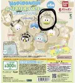 めじるしアクセサリー　サンリオ　けろっぴ