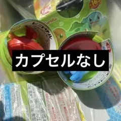 ヒコザル　ミズゴロウ　チョコエッグ　ポケモン　旅立ちの3匹