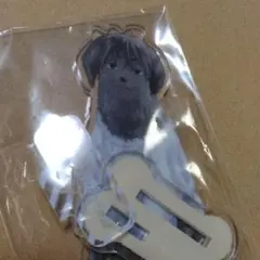 東京リベンジャーズ