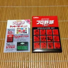 プロ野球チップス スペシャルカード未開封 2001