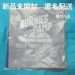 NewJeansトートバッグ 東京ドーム 完売品