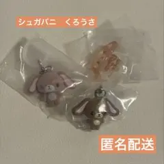 2026年最新】シュガーバニーズ ぬいぐるみ くろうさの人気アイテム