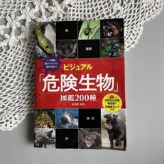 Item thumbnail for item e4d02418-1685-45e9-9af2-e00afdfdf26d