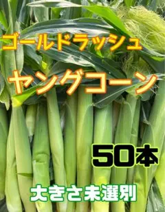 ご注文後に収穫】おおもの ヤングコーン 本 - メルカリ