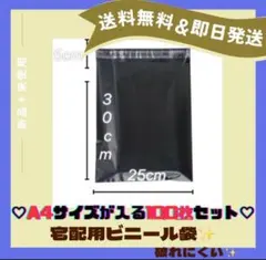 宅配ビニール袋 A4 100枚 黒 宅配袋 テープ付き 宅配用 宅急便 配送用