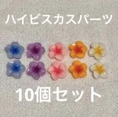 デコレーションパーツ10個セット ネイルパーツ プルメリア ハイビスカス