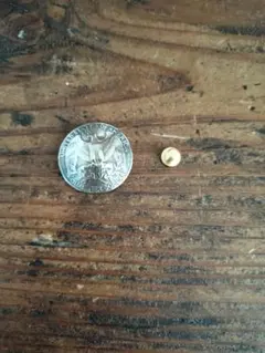 Item thumbnail for item e1c0d255-4f16-4d2e-8335-02df878211f4