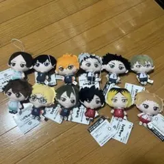 ハイキュー!! ぬいぐるみちゃーむ vol.1.2 全12種類セット