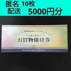 ヤマダ電機　株主　優待券　５０００円分　お買物優待券