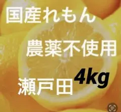 21国産瀬戸田レモン4kg - メルカリ