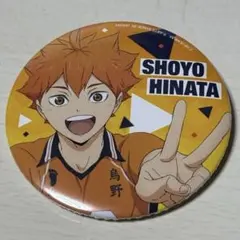 ハイキュー!! 缶バッジ 日向翔陽