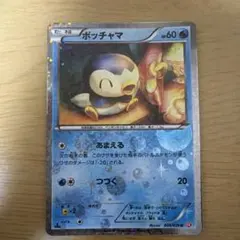 ポッチャマ SC シャイニーコレクション ポケカ