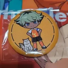 イナズマイレブン まねきねこコラボ 缶バッジB 月影蓮② - メルカリ