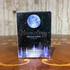 Item thumbnail for item 06a2d3d3-892f-4e4b-bda8-0760f9813540