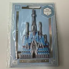 Disney Castle Limited Release Pin