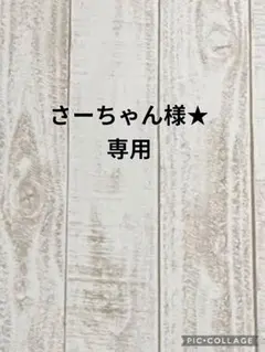 さーちゃん様★専用