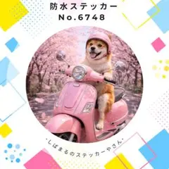 Item thumbnail for item db36cea9-bf6d-457a-9600-ddfe21642bc1