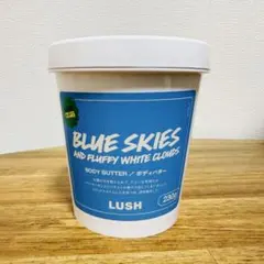 ゆうこりん様 リクエスト 2点 まとめ商品