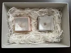 2026年最新】ウサギノネドコの人気アイテム - メルカリ