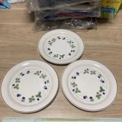 たち吉★Adam&EVe★花と葉の模様の皿 ★3枚セット★未使用品