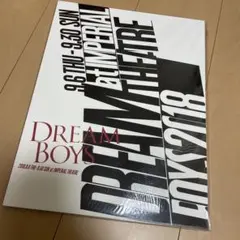 ドリームボーイズ 2018 パンフレット