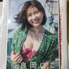 奈良岡にこ 写真集 素。 特装版