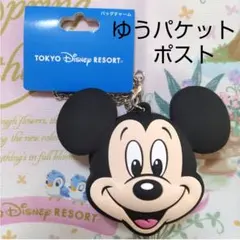 ディズニー　バッグチャーム　コインケース　ミッキー