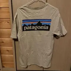 パタゴニア　Tシャツ　オーガニックコットン　XSサイズ