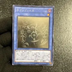 【美品】　サクリファイス　綺麗