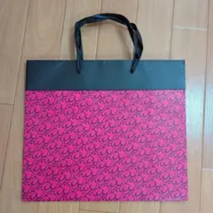 【フォロー割5%オフ‼️】Ravijour　ショップ袋　ショッパー　紙袋　ギャルのサムネイル