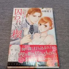囚われの楔~囚われの令嬢は悪魔の元に嫁ぎゆく~